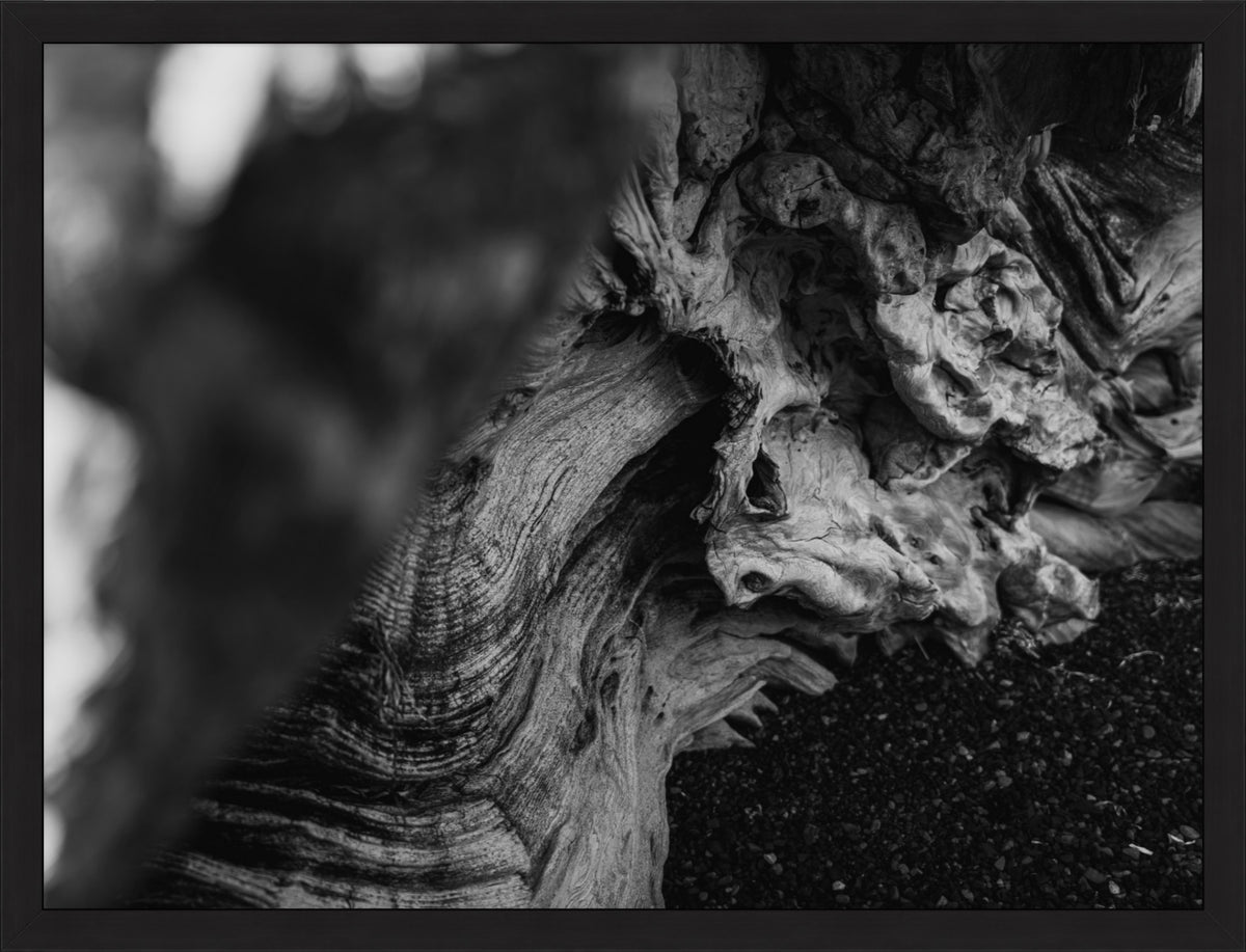 Shaped by Time