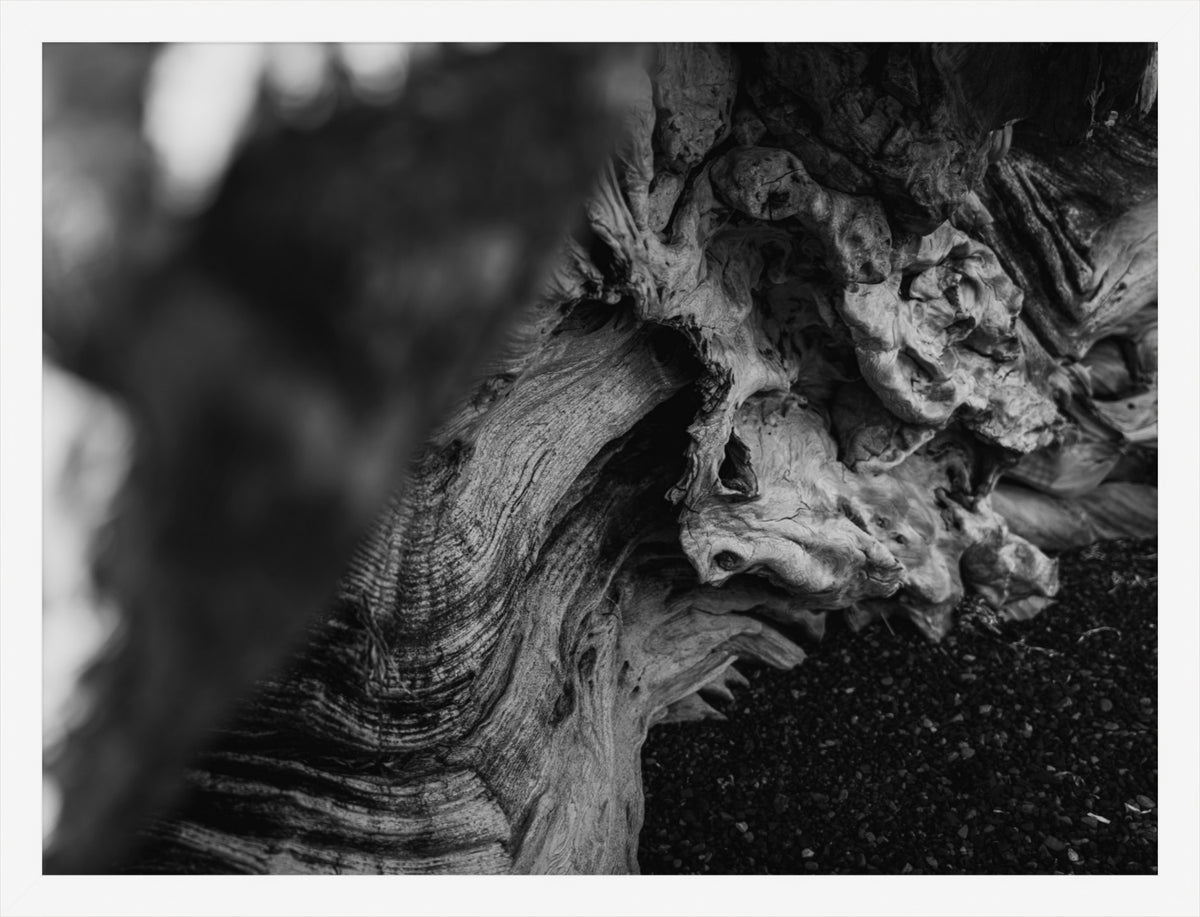 Shaped by Time