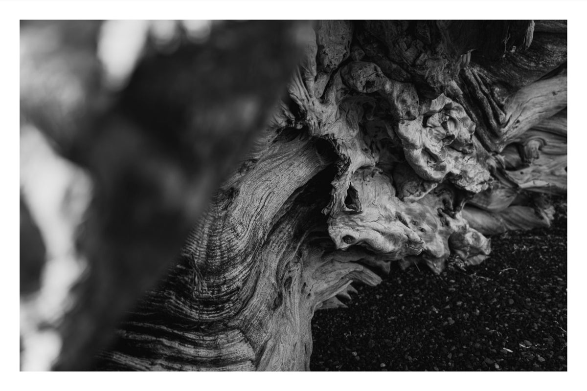 Shaped by Time