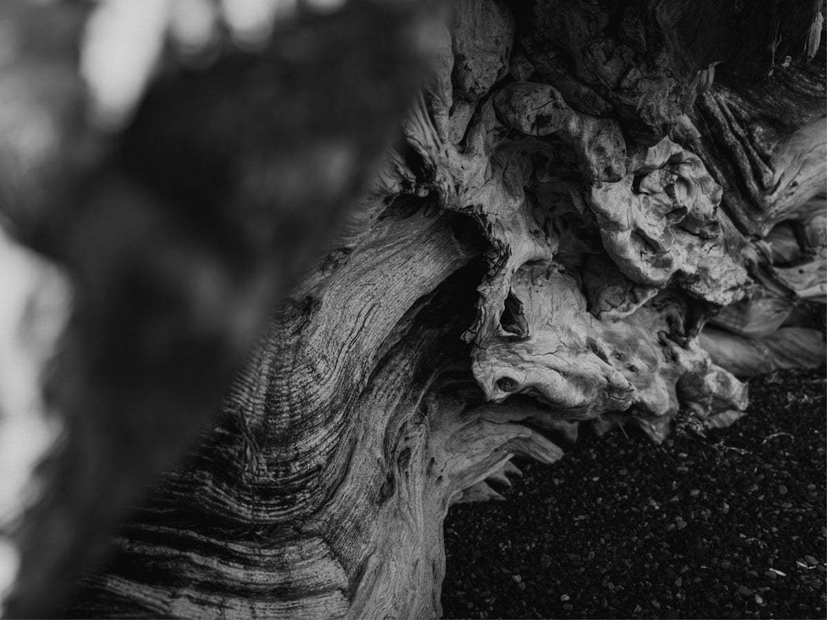 Shaped by Time
