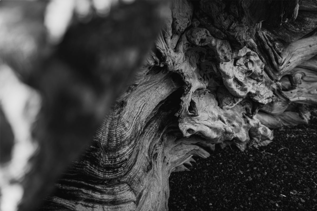 Shaped by Time