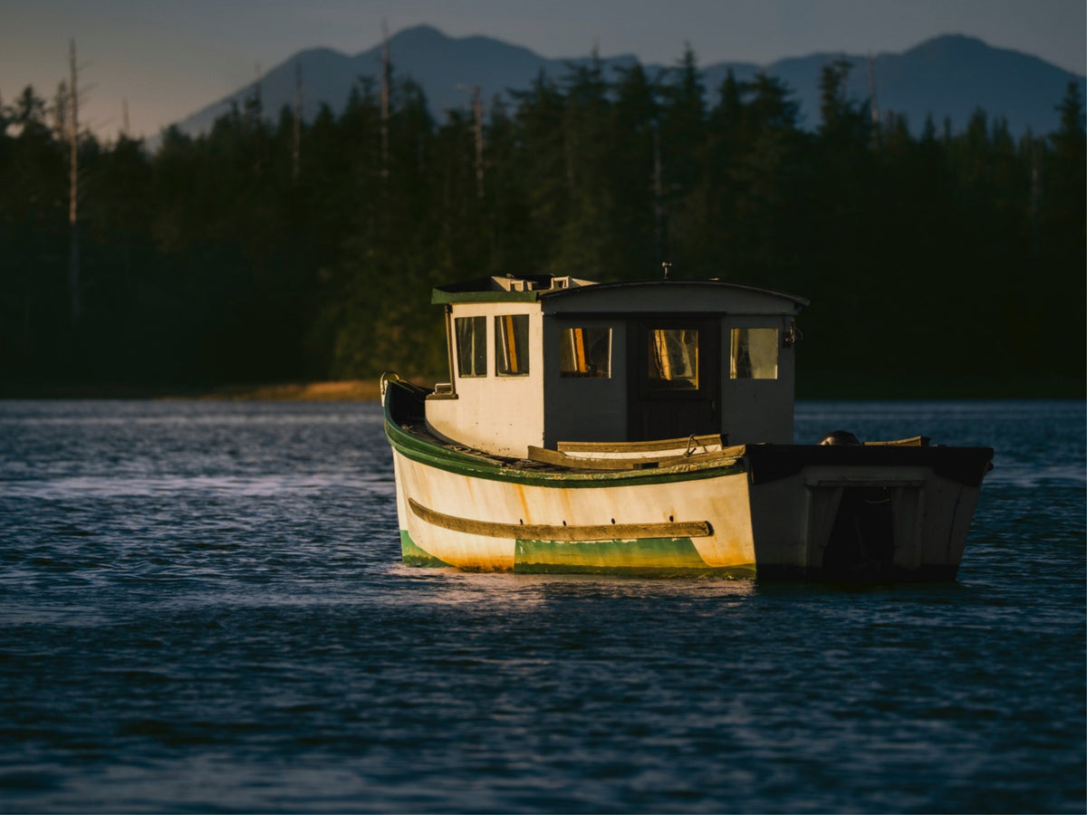 Anchored