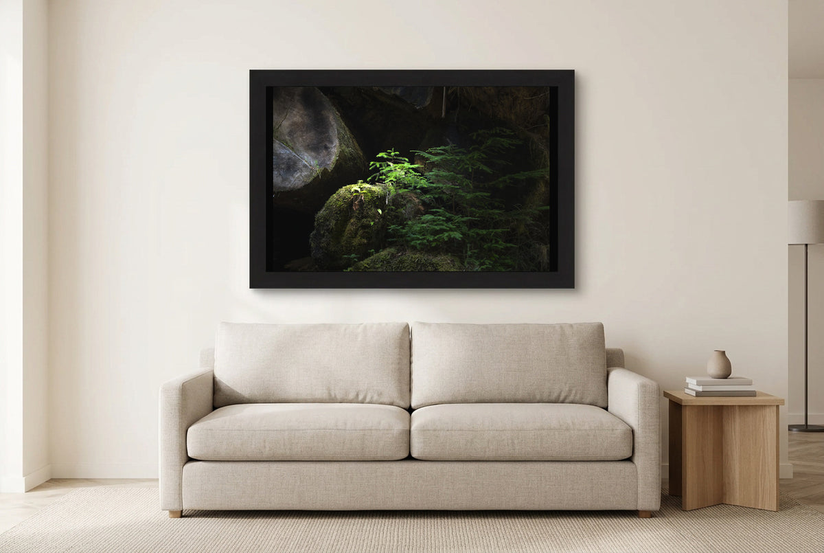 Illustrative room preview of New Growth in the Light in a black frame above a light sofa. Artwork scale is approximate.