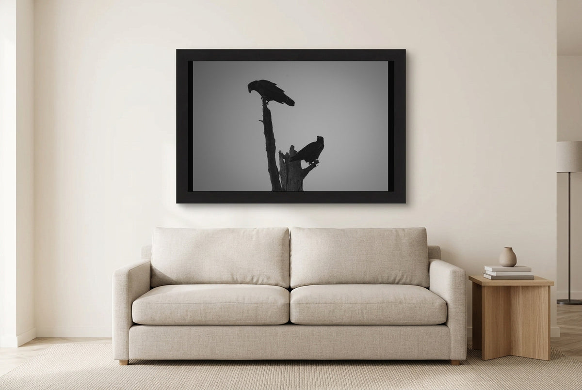 Illustrative room preview of Two Ravens in a black frame above a light sofa. Artwork scale is approximate.