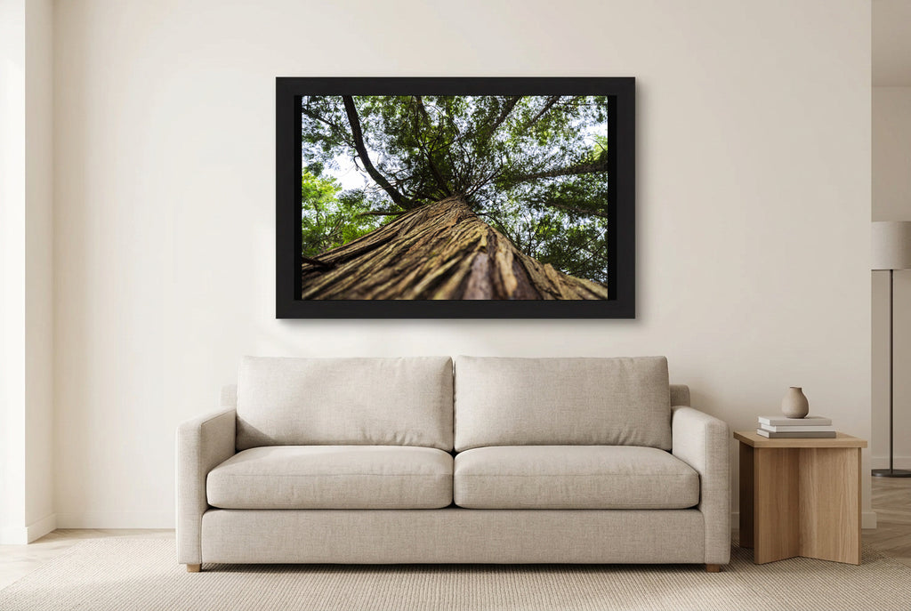 Illustrative room preview of Toward the Canopy in a black frame above a light sofa. Artwork scale is approximate.
