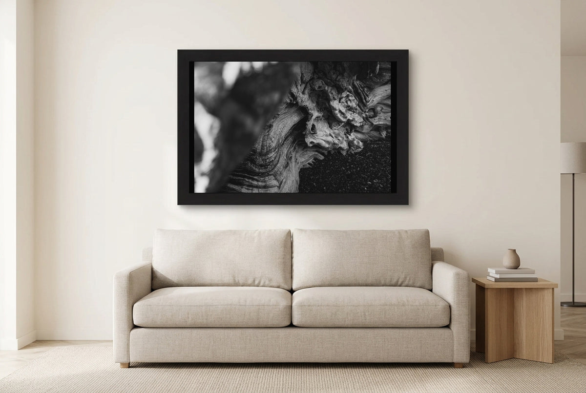 Illustrative room preview of Contours of Driftwood in a black frame above a light sofa. Artwork scale is approximate.